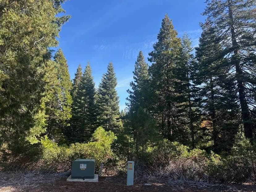 Vacant Land in Lake Almanor
