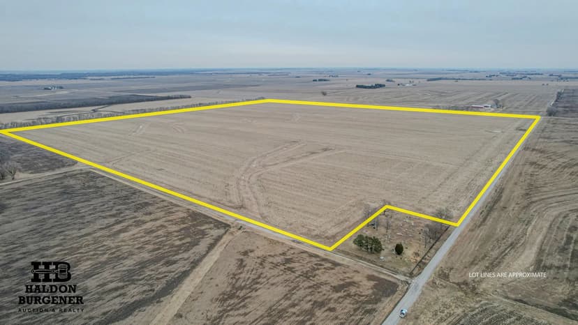 238.73 AC Piatt County, IL Farm For Sale