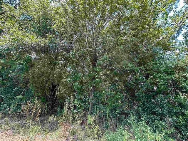 Lots & Land-Other in Lumberton - Lumberton, Texas, 77657