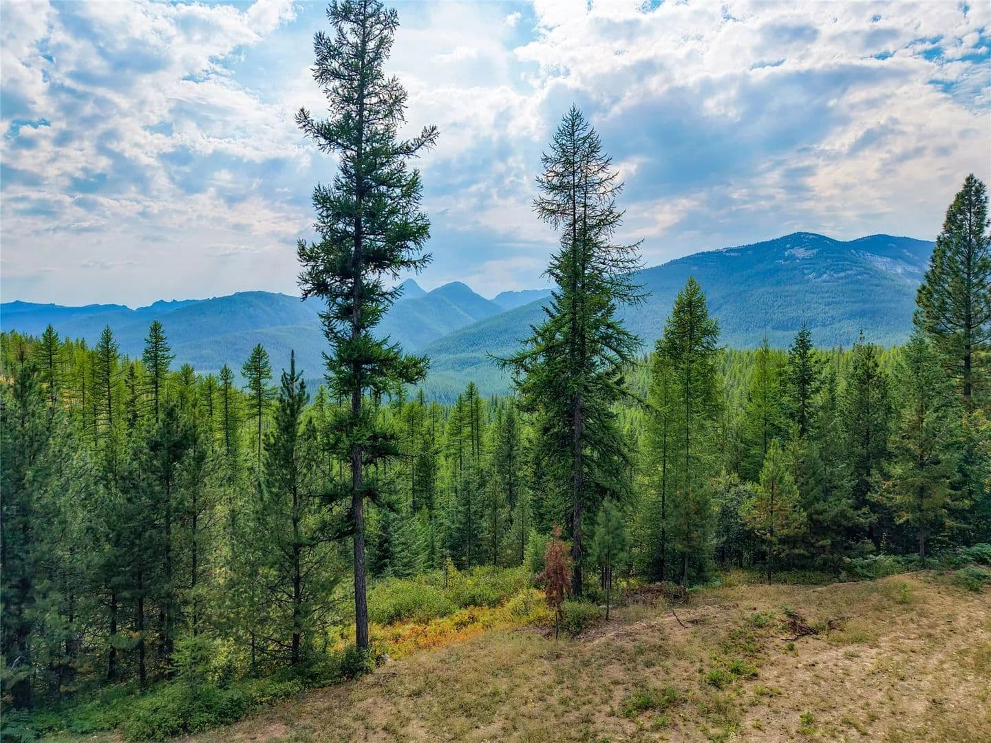 Vacant Land (10+ Acres) in Libby - Libby, Montana, 59923