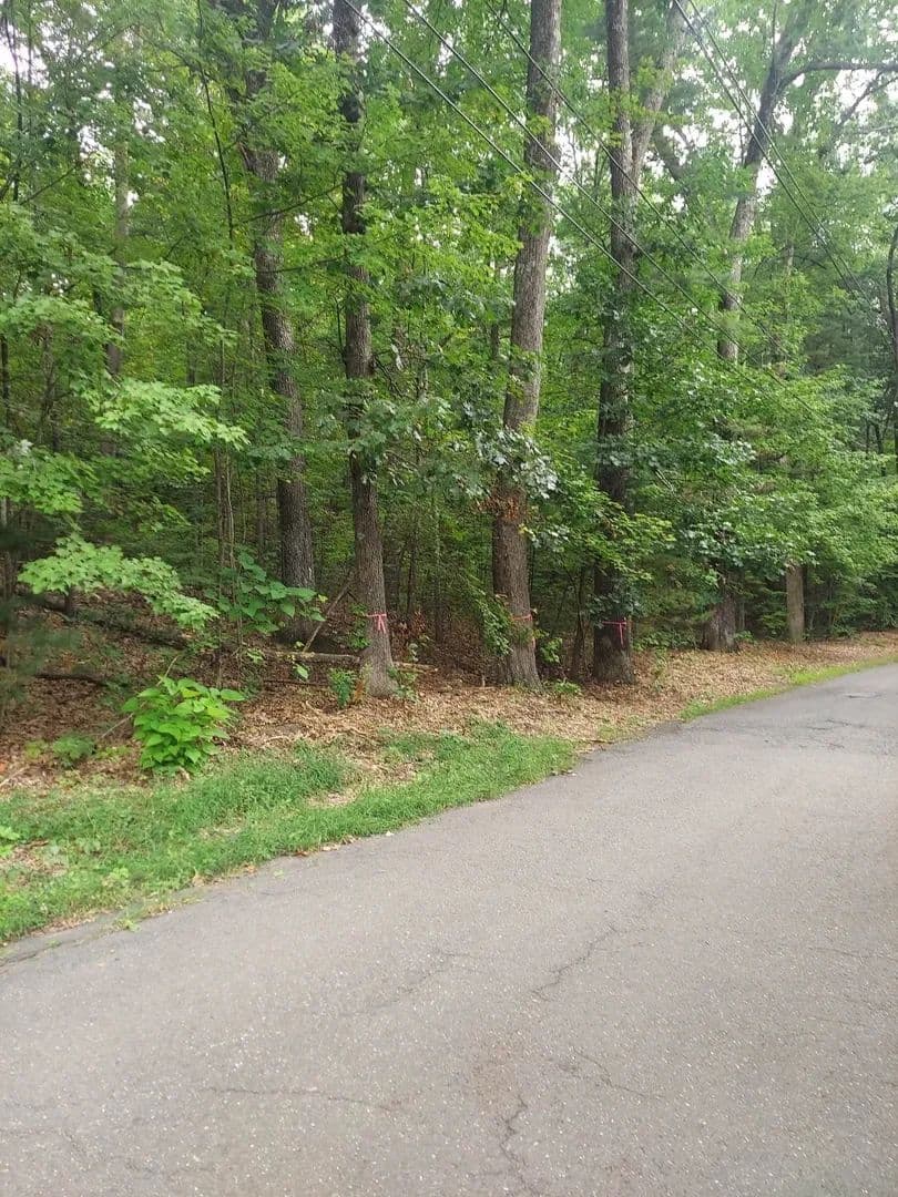 Vacant Land in Northampton - Northampton, Massachusetts, 01062