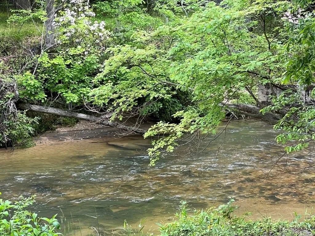 Lots & Land-Other in Blairsville - Blairsville, Georgia, 30512