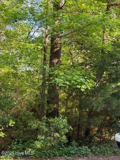 Vacant Land in Hampstead - Hampstead, North Carolina, 28443