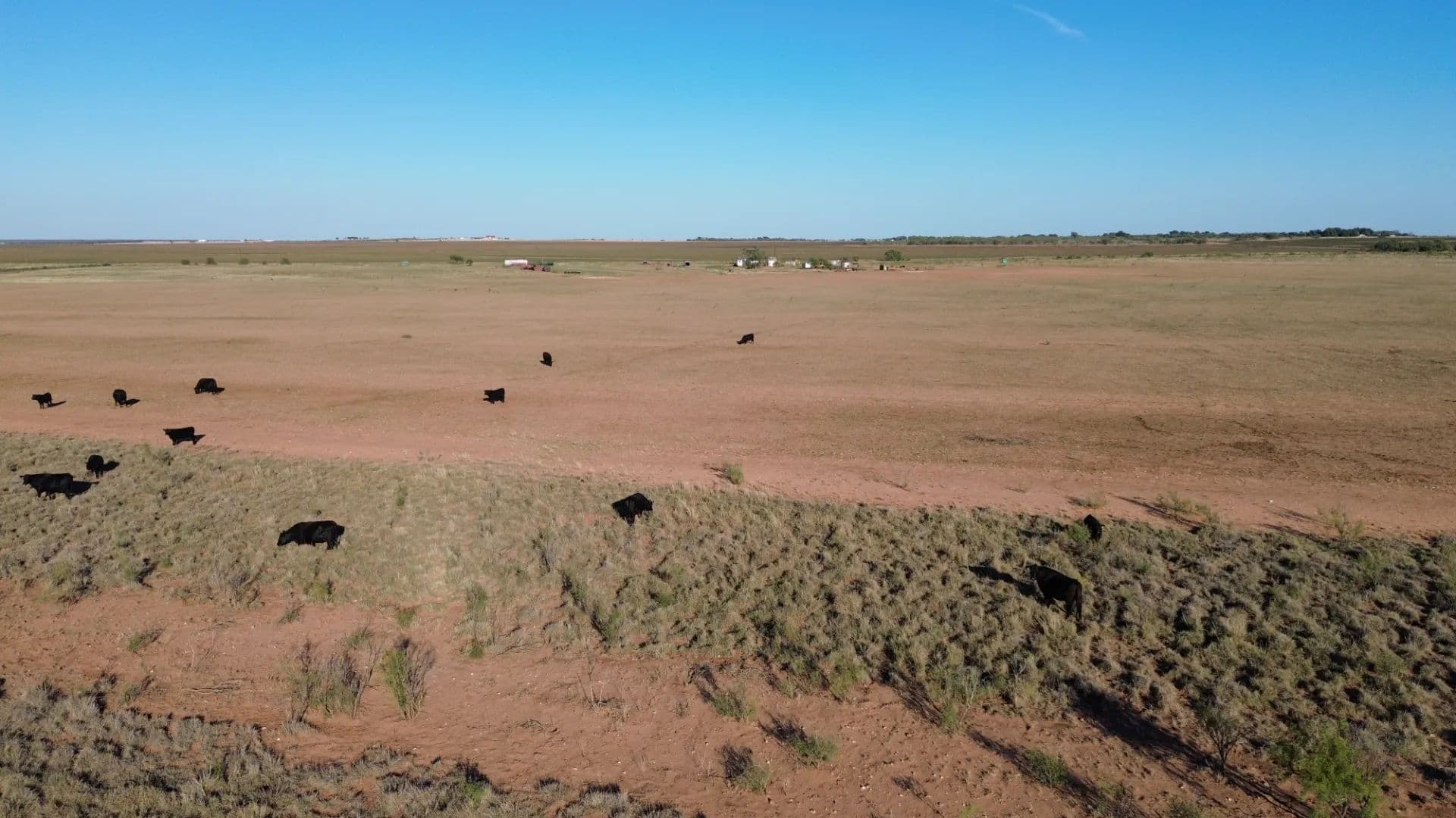 NEW LISTING!! 160 +/- Ac & MH 13725 County Rd 455, Merkel - Merkel, Texas, 79536