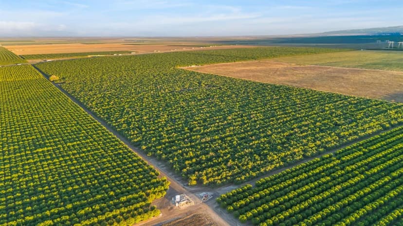 Property from 0 I5/Shields - KW