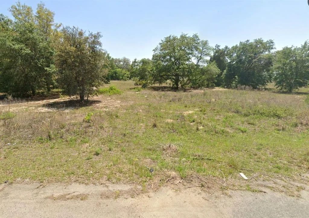 Vacant Land in Ocklawaha - Ocklawaha, Florida, 32179