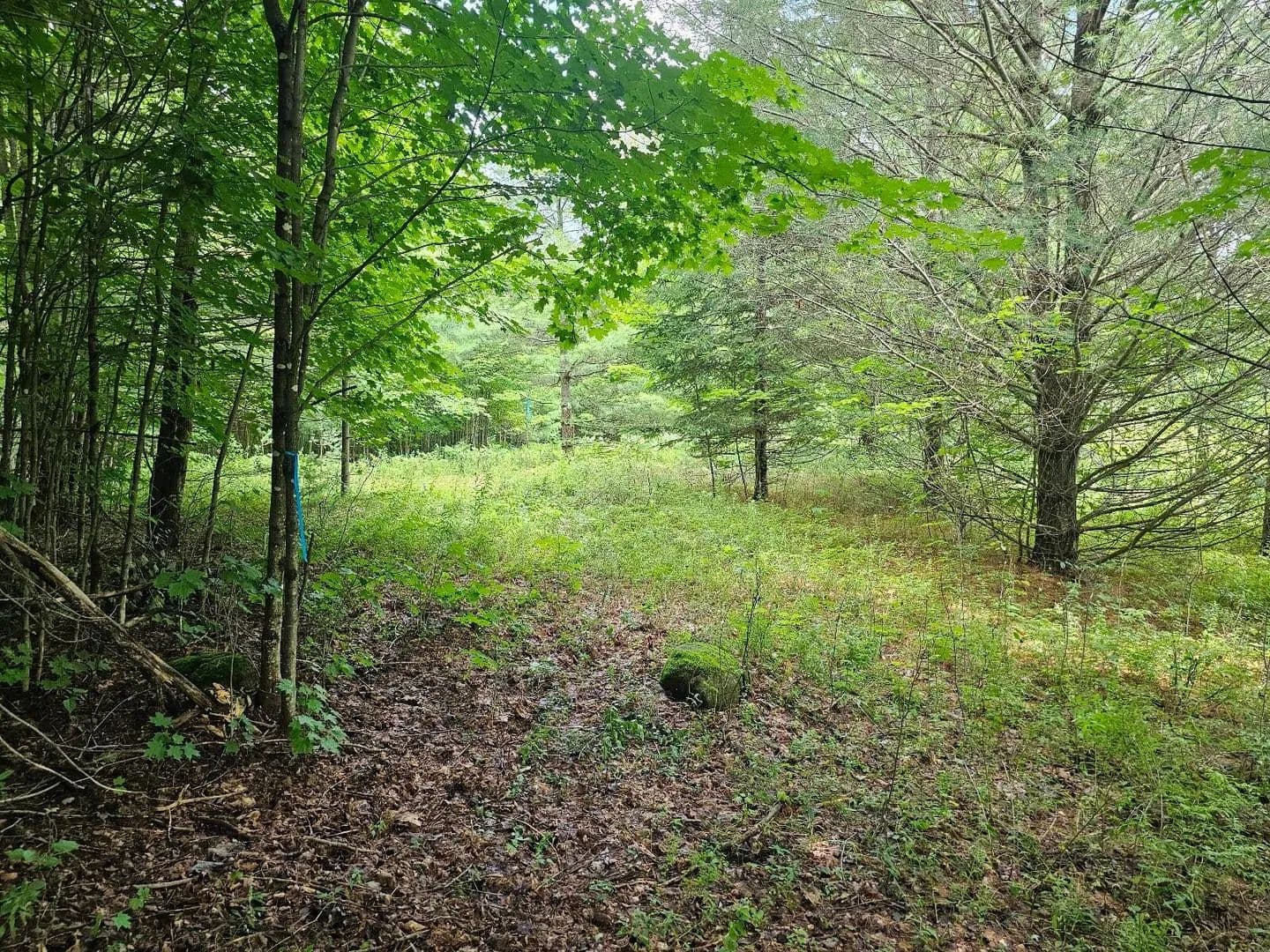 Lots & Land-Other in Piercefield - Piercefield, New York, 12973