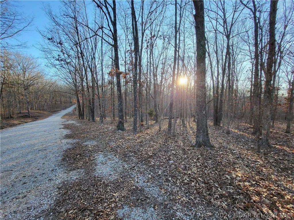 Lots & Land-Other in Edwards - Edwards, Missouri, 65326