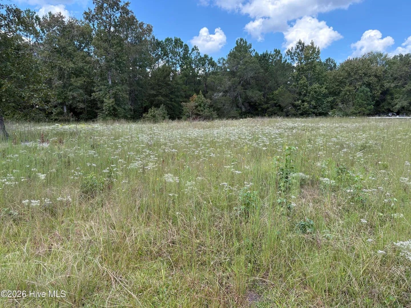Vacant Land in Bolivia - Bolivia, North Carolina, 28422