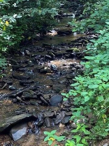 Lots & Land-Other in Ellijay - Ellijay, Georgia, 30540