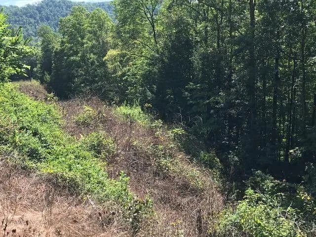 Lots & Land-Other in Wilder in Wilder, Tennessee - photo 8