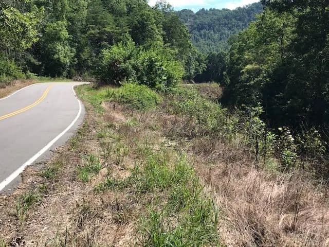 Lots & Land-Other in Wilder in Wilder, Tennessee - photo 5