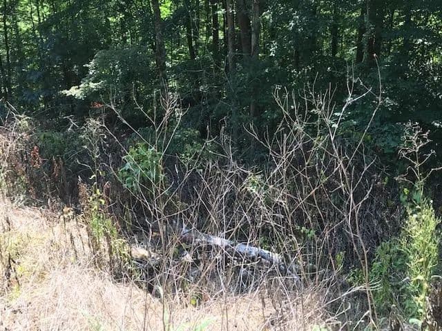 Lots & Land-Other in Wilder in Wilder, Tennessee - photo 4