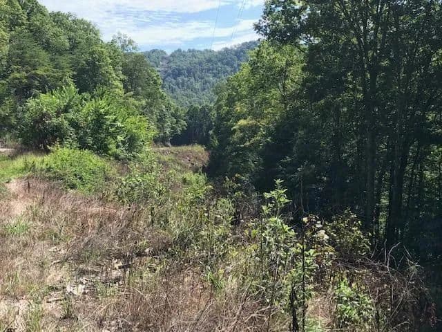 Lots & Land-Other in Wilder in Wilder, Tennessee - photo 7