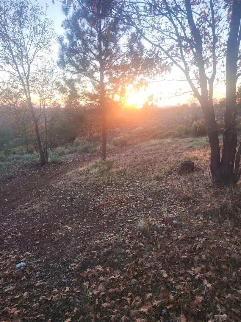 Property from 19855 Incense Cedar Trail - KW - Groveland, California, 95321