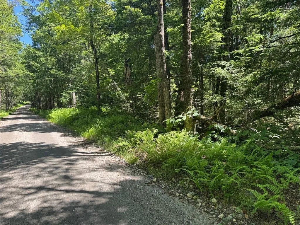 Lots & Land-Other in Ashfield - Ashfield, Massachusetts, 01330