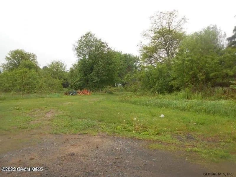 Land -Single Family Acreage in Guilderland