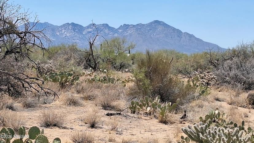 Vacant Land in Tucson
