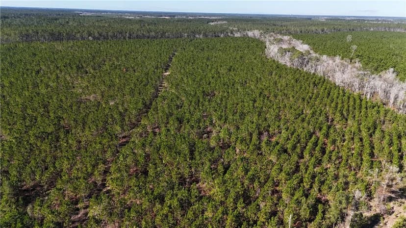 Property from 29 AC Owens Road - KW