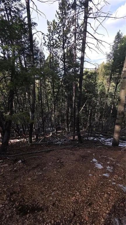 Lots & Land-Other in Woodland Park - Woodland Park, Colorado, 80863