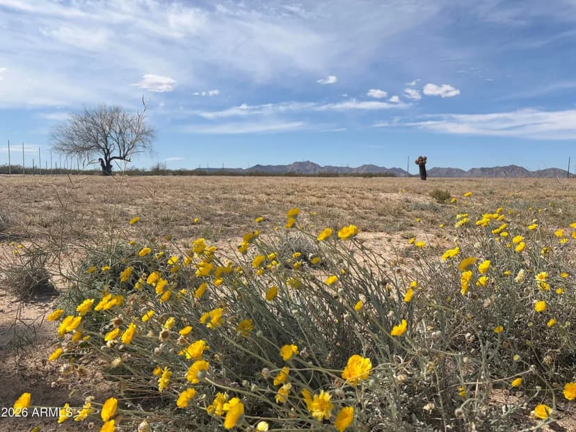 Lots & Land-Other in Salome