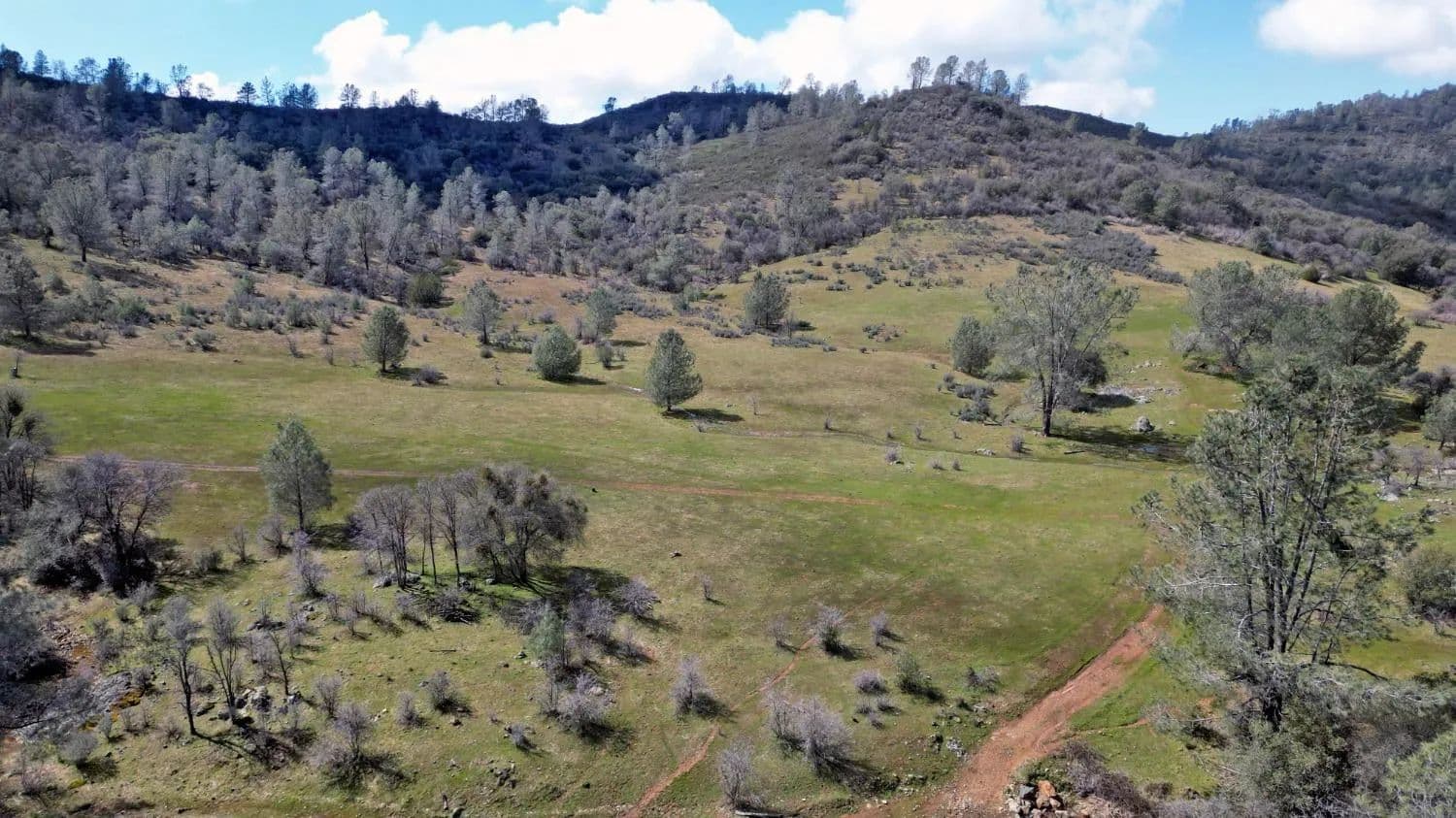440 Acres of Land for Sale in Coulterville, California - Coulterville, California, 95311
