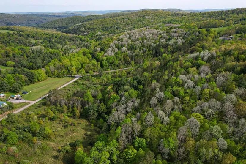 Lots & Land-Other in Waverly