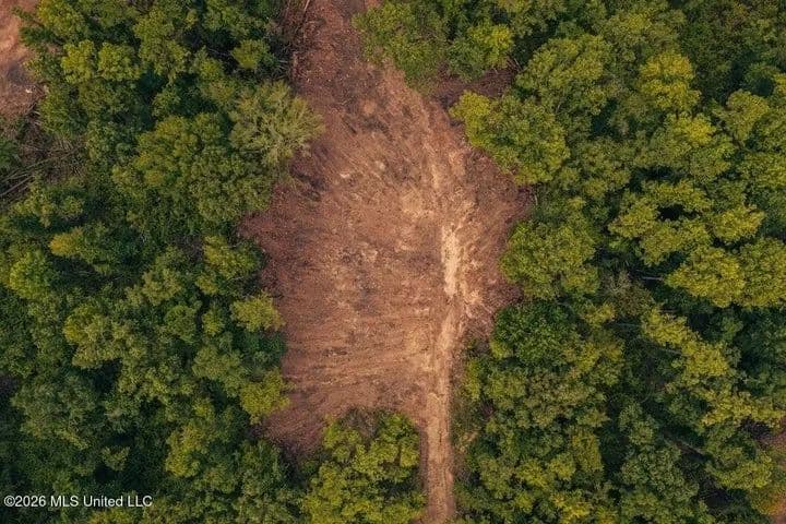 36± Acre Hunting Property Near Bude, MS - Meadville, Mississippi, 39653