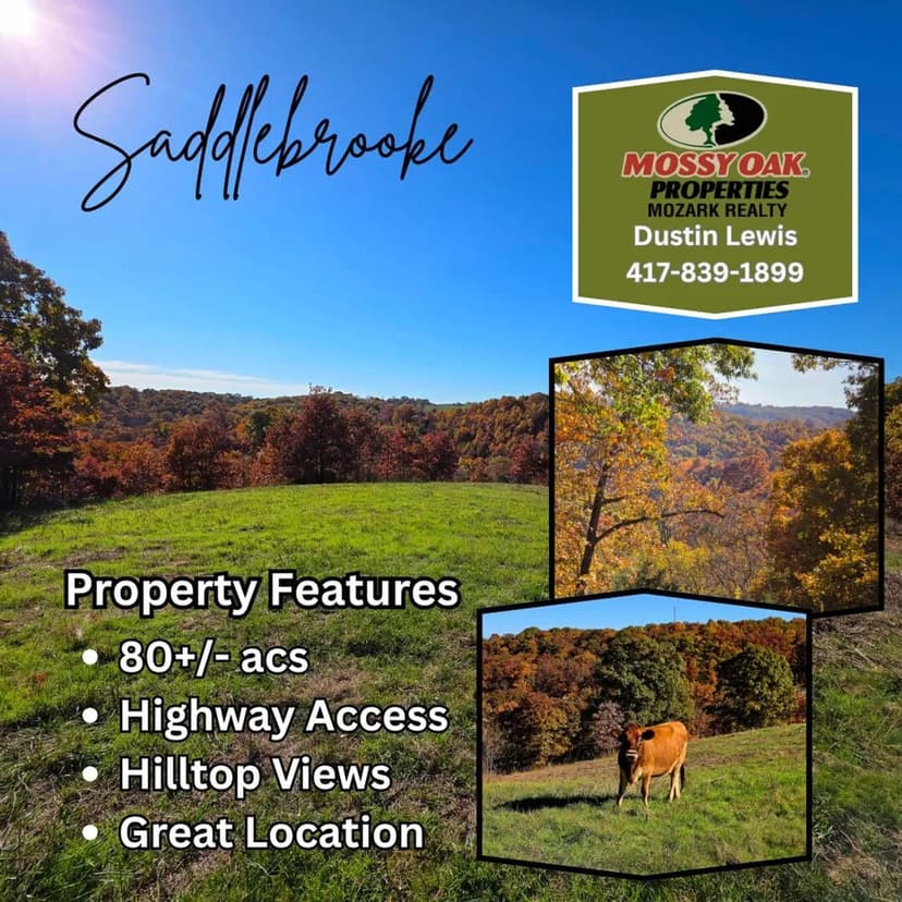 80+ Acres – Village of Saddlebrooke | Prime Ozarks Land with Hilltop Views