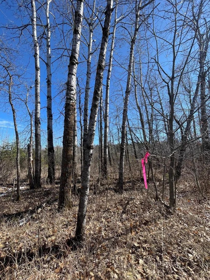 Lots & Land-Other in Laporte