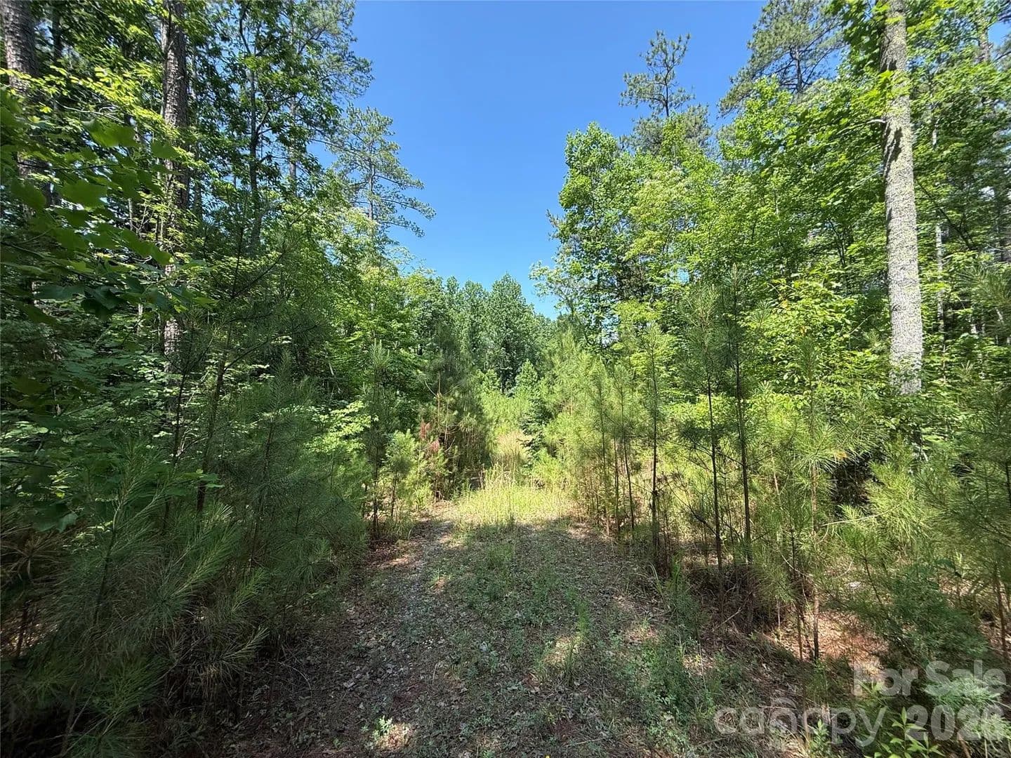 10 Acres of Land for Sale in Bostic, NC - Bostic, North Carolina, 28018
