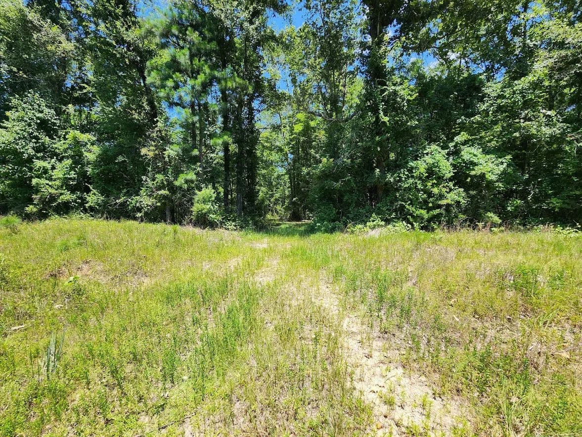 Vacant Land (10+ Acres) in El Dorado - El Dorado, Arkansas, 71730