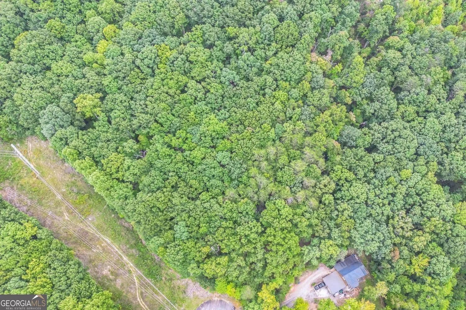 Lots & Land-Other in Cleveland - Cleveland, Georgia, 30528