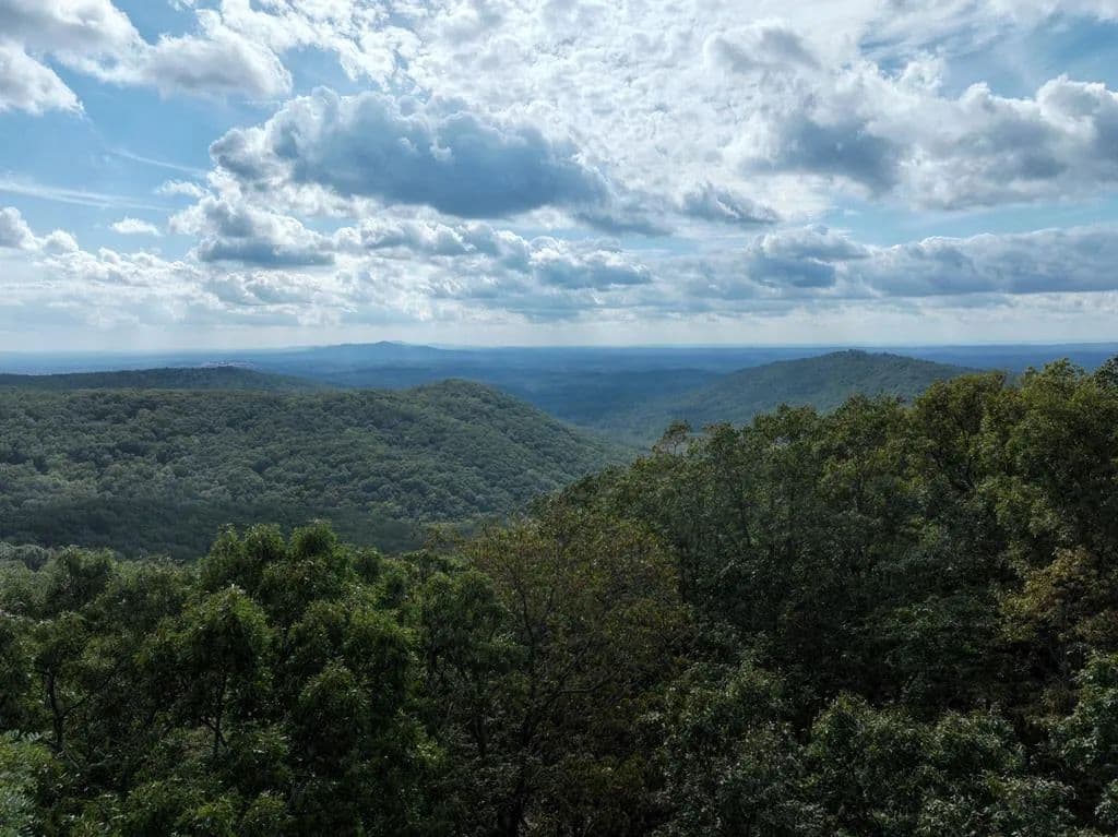 10 Acres of Land for Sale in Jasper, GA - Jasper, Georgia, 30143