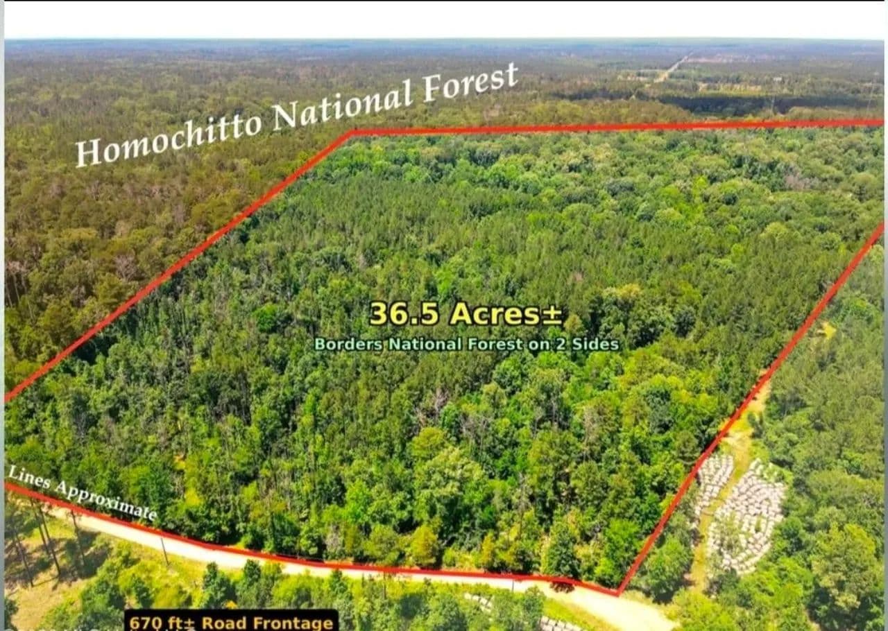 36.5 acres bordering The Homochitto National Forest - Roxie, Mississippi, 39661