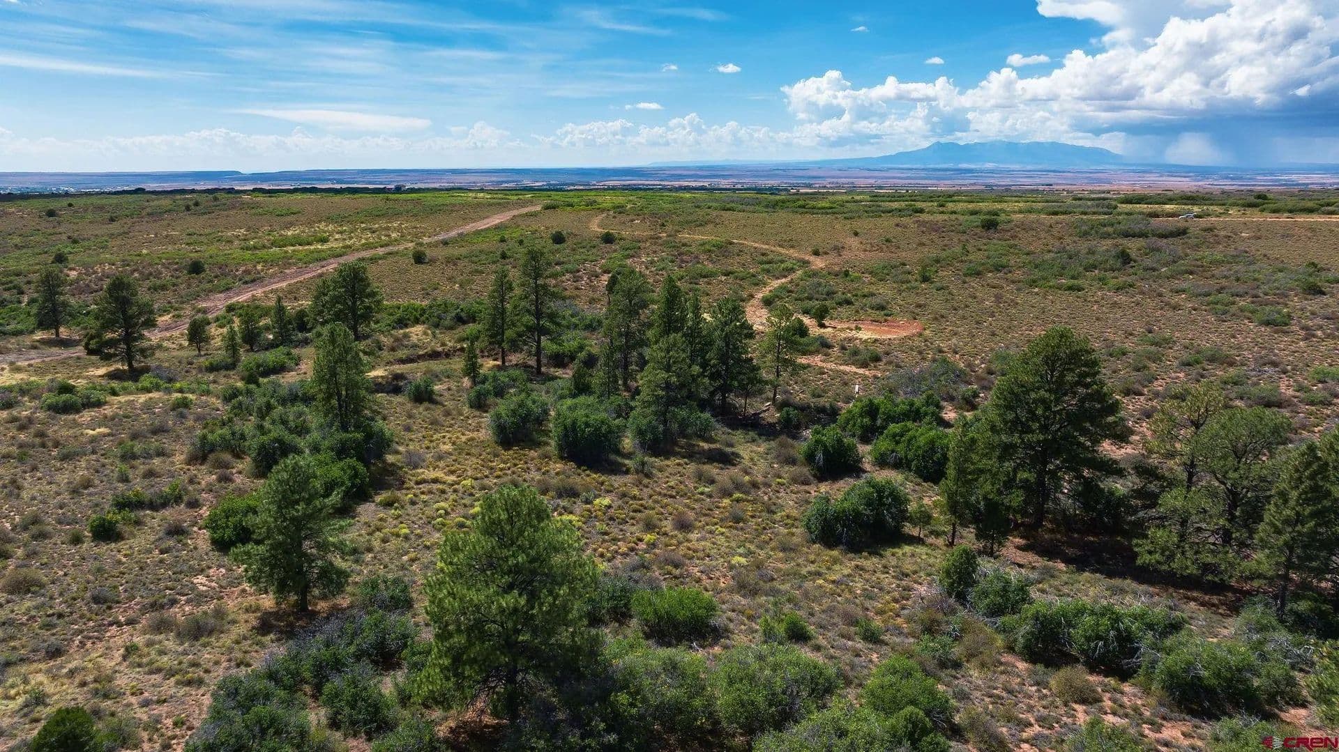 Vacant Land in Dove Creek - Dove Creek, Colorado, 81324