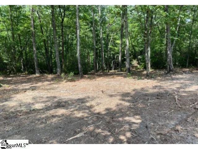 Vacant Land in Marietta