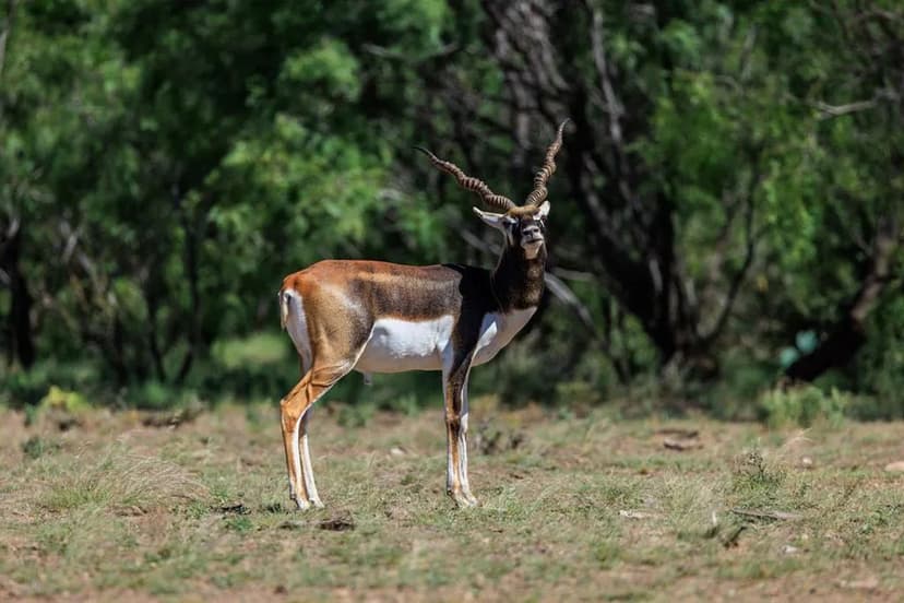 Property from 16251 Door Key Rd - KW