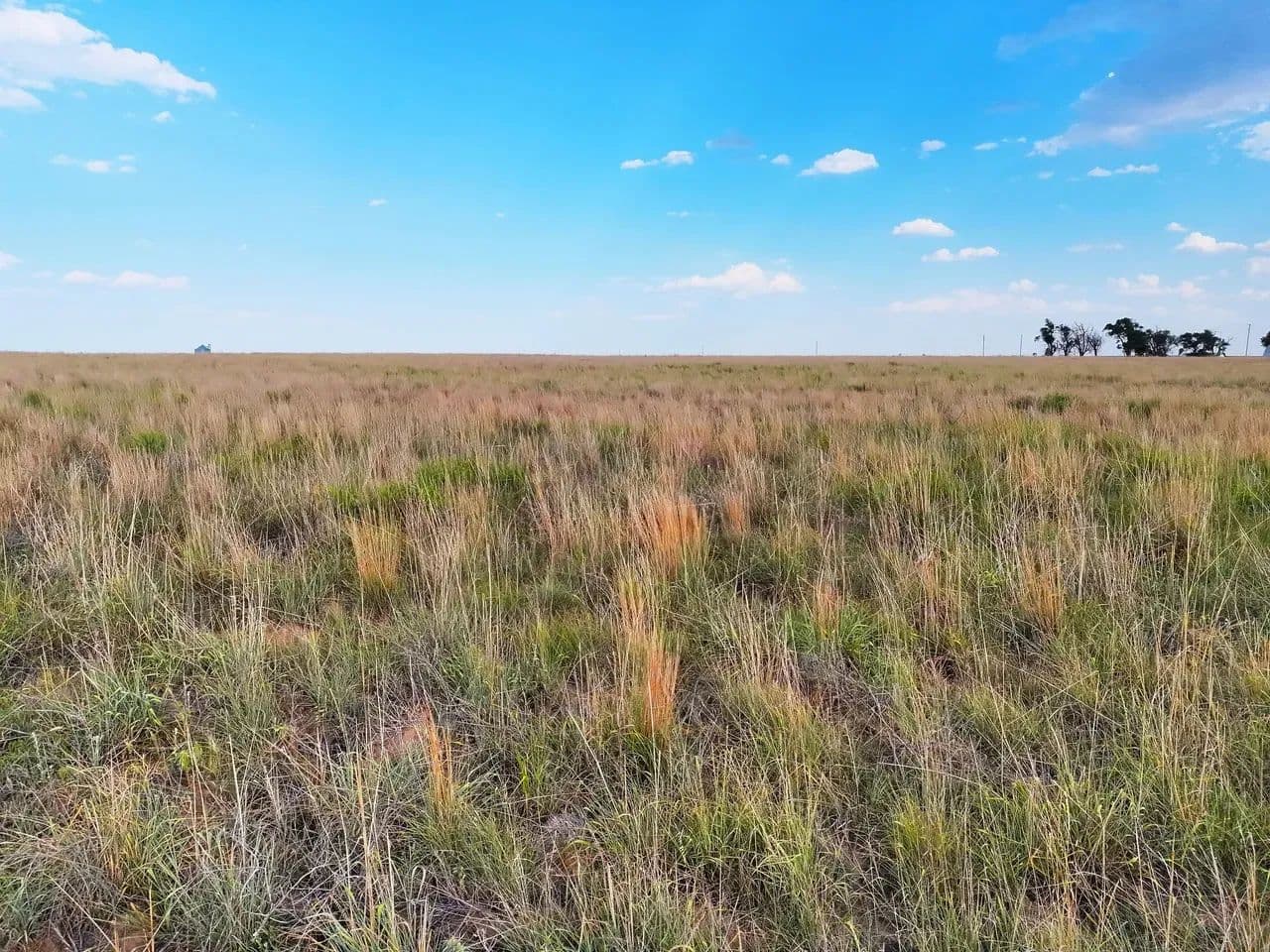 1/5 Undivided Interest (Surface Rights Only) | CRP Income Property with Excellent Hunting Opportunities - Rolla, Kansas, 67954