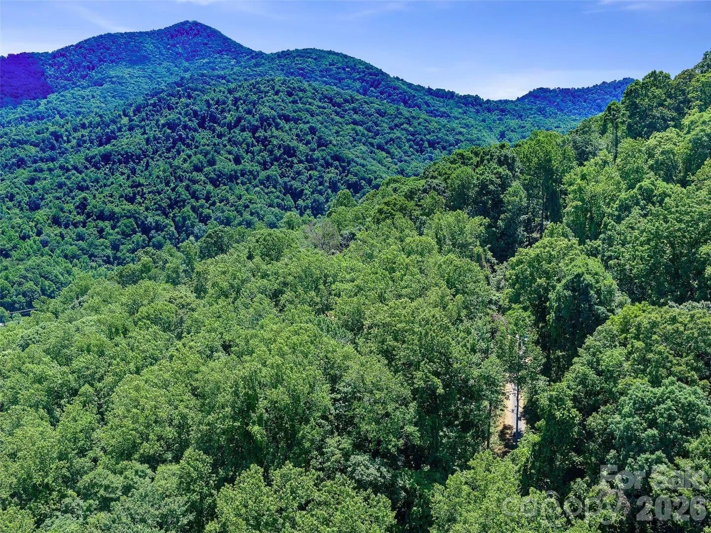 2.06 Acres of Land for Sale in Candler, NC - Candler, North Carolina, 28715