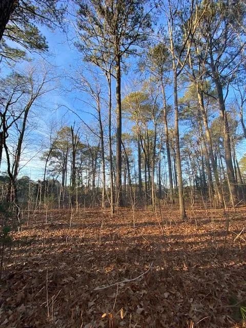 Land -Single Family Acreage in Parksley