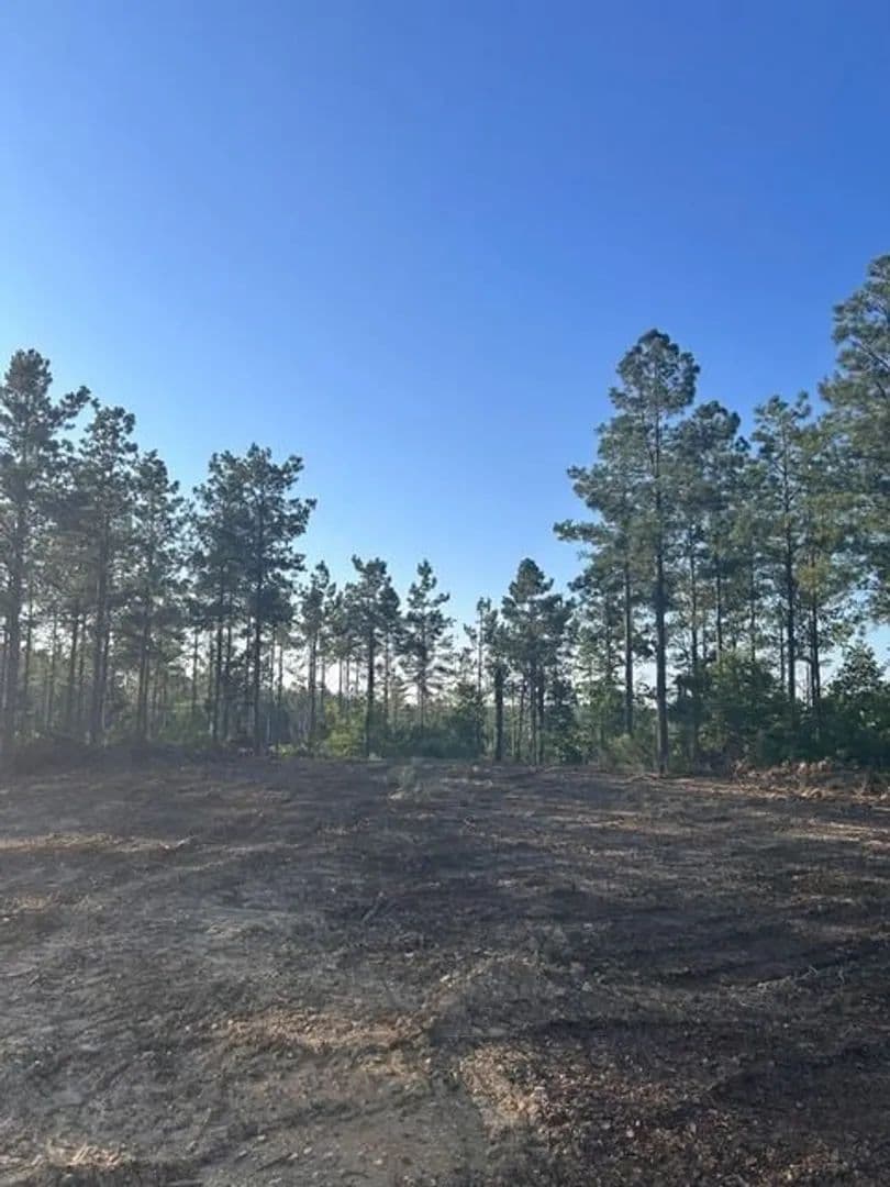 Gant Ridge — 952± Acres | Olivehill, Wayne County, Tennessee | Turkey, Deer & Timber - Olivehill, Tennessee, 38475