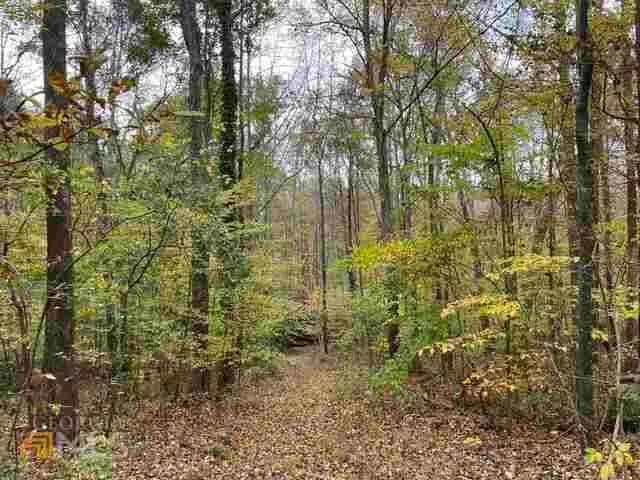 15.5 Acres of Land for Sale in Georgia - Georgia, 30038