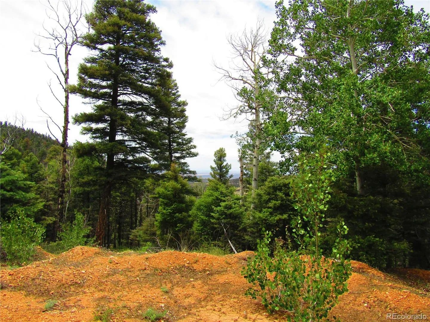 Property from LOT 6029 Spruce Road - KW - San Luis, Colorado, 81152