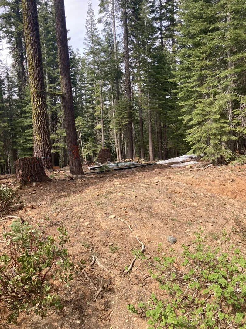 Property from 8896 Big Creek Road - KW - Bucks Lake, California, 95971
