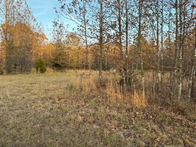 80 Acres of Prime Building, Recreational & Hunting Land