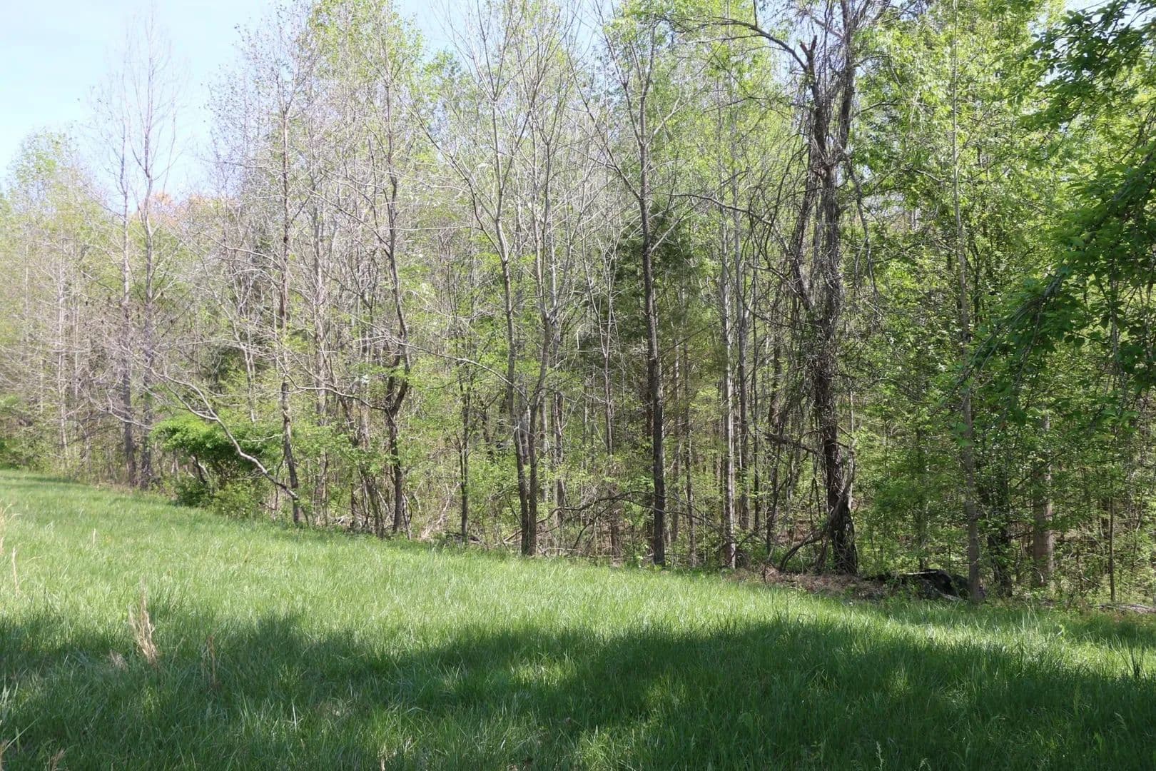 Land -Single Family Acreage in Clarksville - Clarksville, Tennessee, 37040