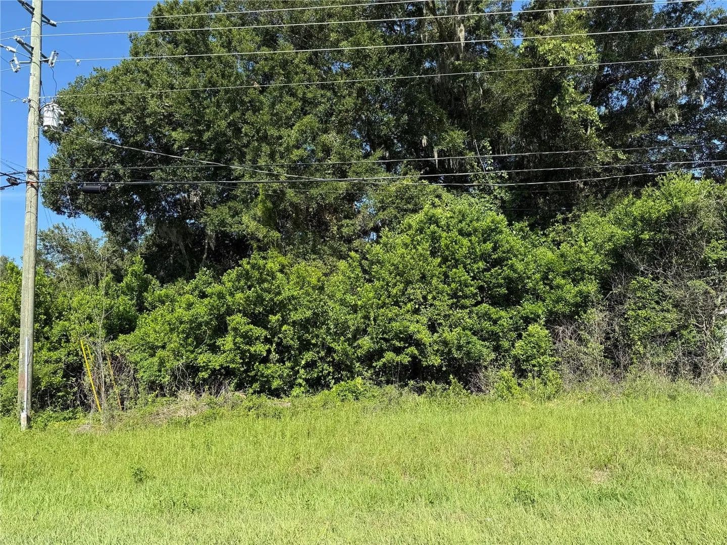 0.22 Acres of Land for Sale in SUMMERFIELD, FL - Summerfield, Florida, 34491