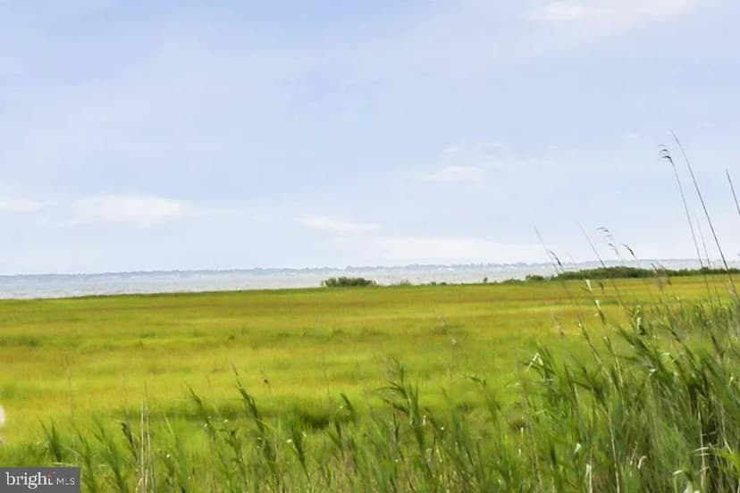 Vacant Land in Greenbackville