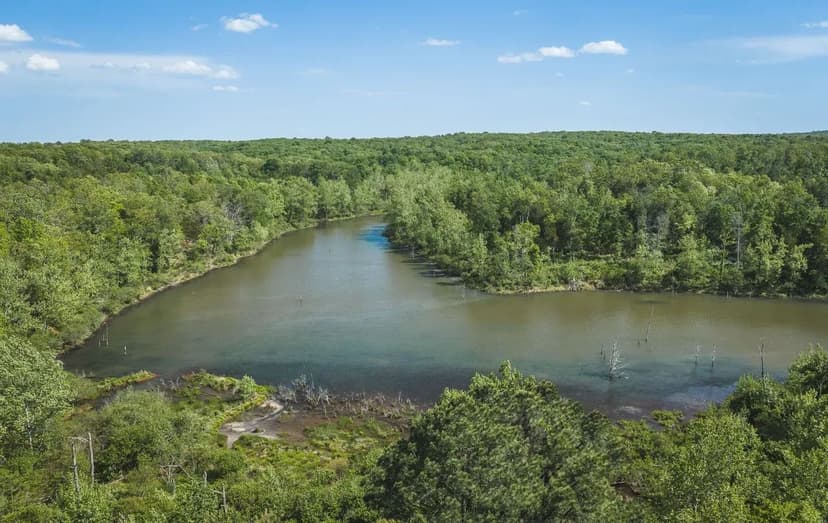 Rainbow Springs Lake & Acreage